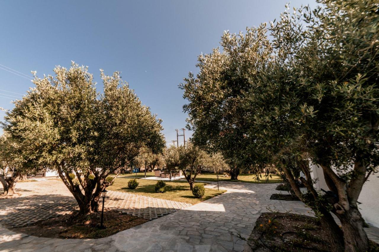 Cyclades Luxury Studios 네아 포티데아 외부 사진